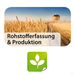 Rohstofferfassung / Produktion